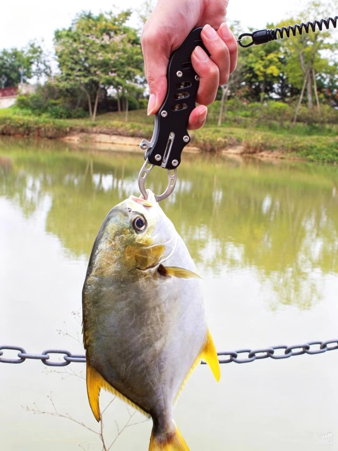 Multifunctional Stainless Stee - Fishing Line Cutter 评论和价格